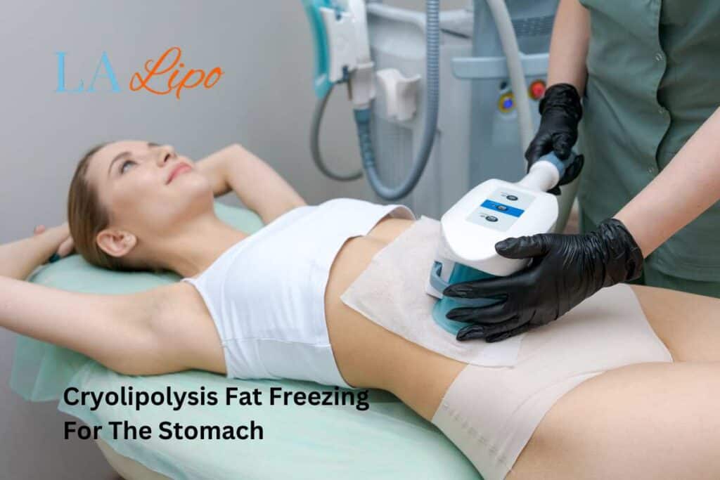 stomach