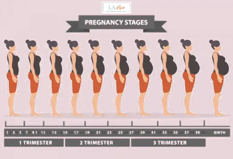 First Trimester (Weeks 1–12): Early Changes You Might Not Notice Birkenhead